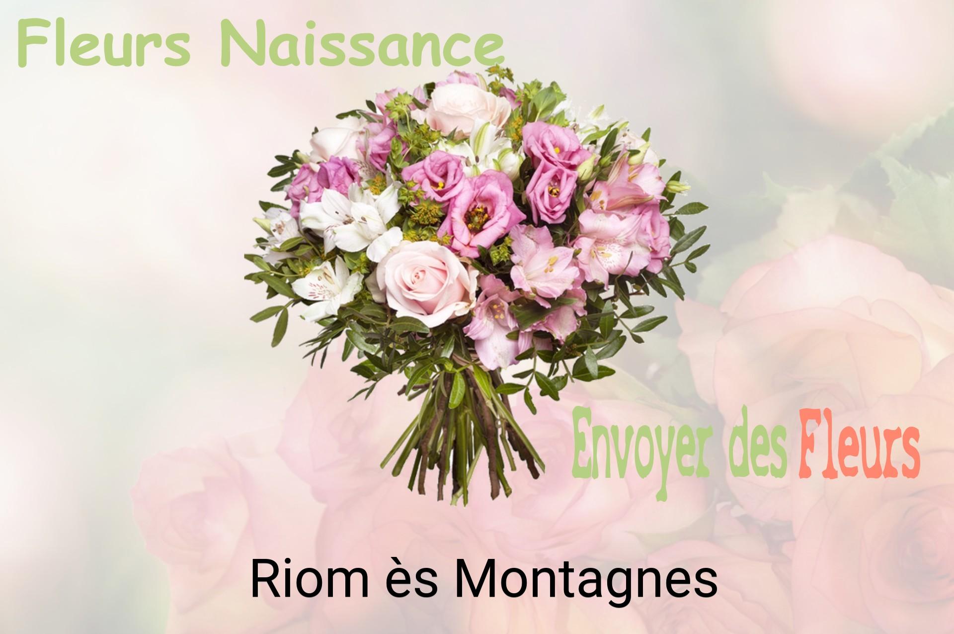Bouquet de fleurs de naissance livré à Riom-ès-Montagnes